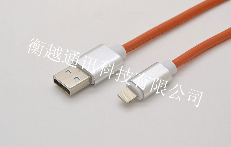 蘋果插頭對(duì)USB 2.0 AM